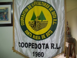 Coopedota Banner