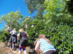 Group climbing slope