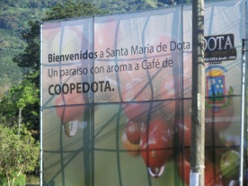 Coopedota billboard