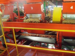 Processing plant in operation
