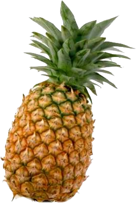 pineapple-2.png